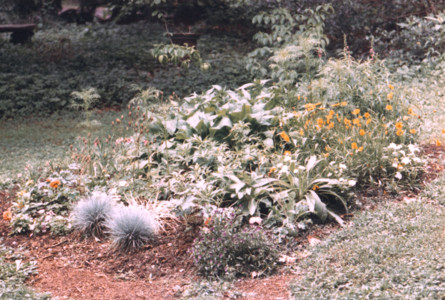scan0003.tif